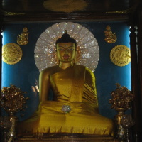 Seven Branch Aarti