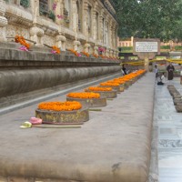 हे बुद्ध हे तथागत